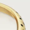 Náhrdelník Panthere De Cartier Torque, kloubový