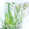 Náplň parfému Geranium – Rivieres De Cartier | Cartier