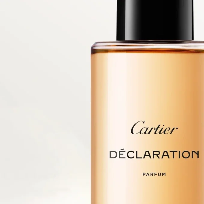 Prohlášení o náplni